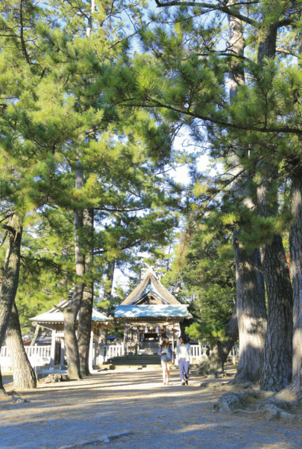 水若酢神社２