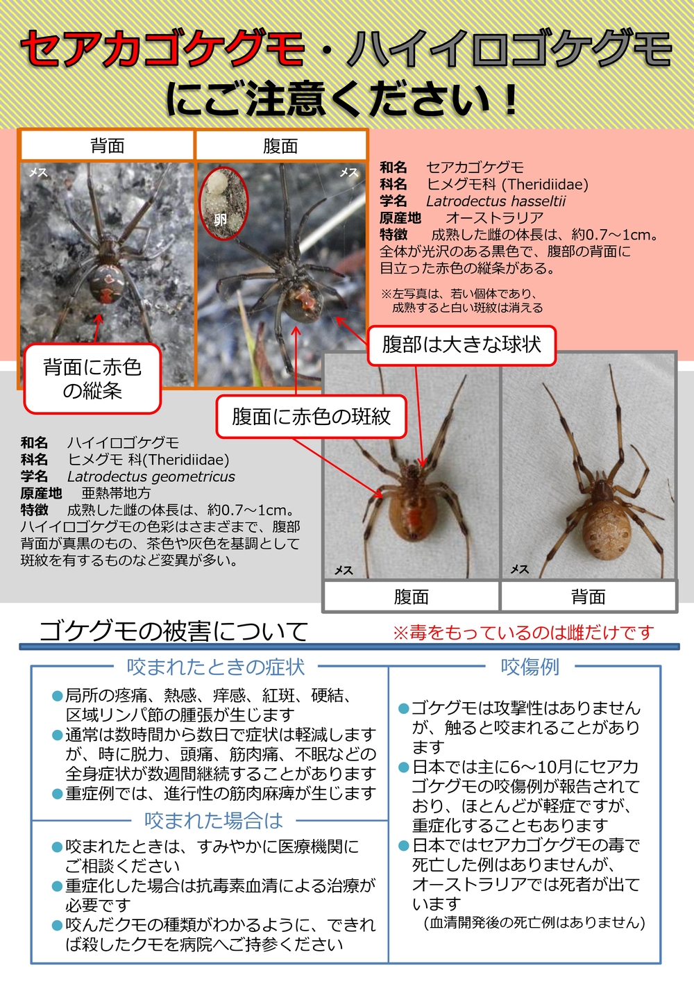 環境省外来生物対策室1