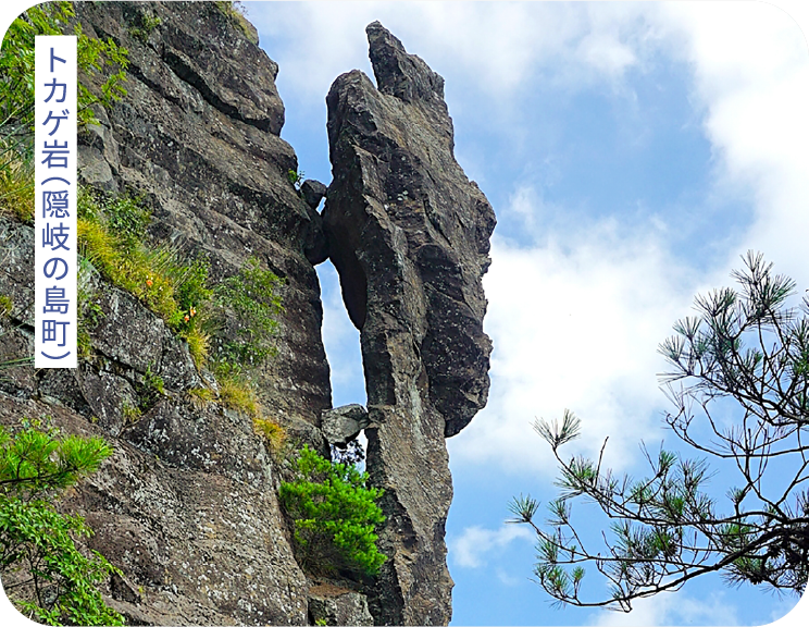トカゲ岩（隠岐の島町）